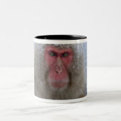 Japanse sneeuwaap in hotspring tweekleurige koffiemok (Center)