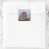 Japanse sneeuwaap in hotspring vierkante sticker (Tas)