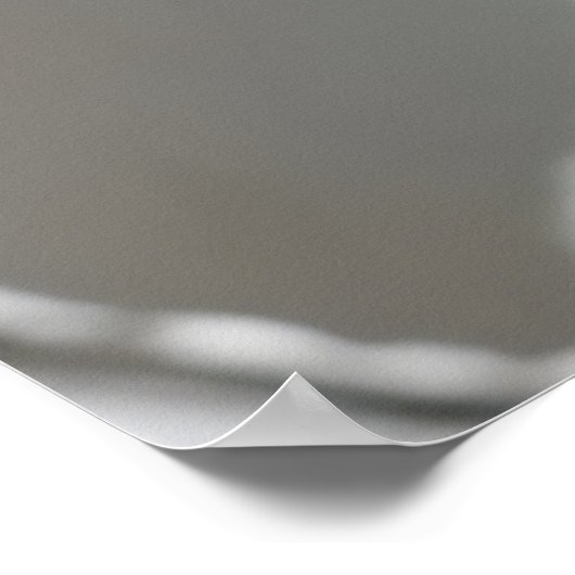 japanse sneeuwfee poster (Hoek)