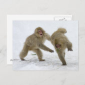 Japanse sneeuwpoppen op sneeuw briefkaart (Voorkant / Achterkant)