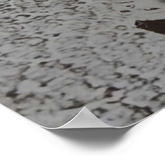 Japanse Solaris Poster (Hoek)