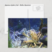 Japanse spinkrab briefkaart (Voorkant / Achterkant)