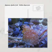 Japanse spinkrab briefkaart (Voorkant / Achterkant)