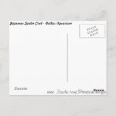 Japanse spinkrab briefkaart (Achterkant)