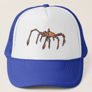 Japanse spinkrab trucker pet