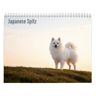 Japanse Spitz 2027 muurkalender Kalender