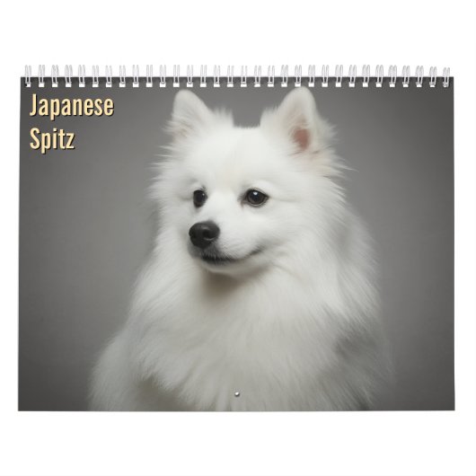 Japanse Spitz 2027 Muurkalender Kalender (Hoes)