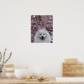 Japanse Spitz/Amerikaanse Eskimo Cherry Blossom Pr Poster (Keuken)