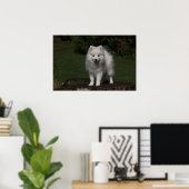 Japanse spitz/Amerikaanse eskimo-puppy Poster (Thuiskantoor)