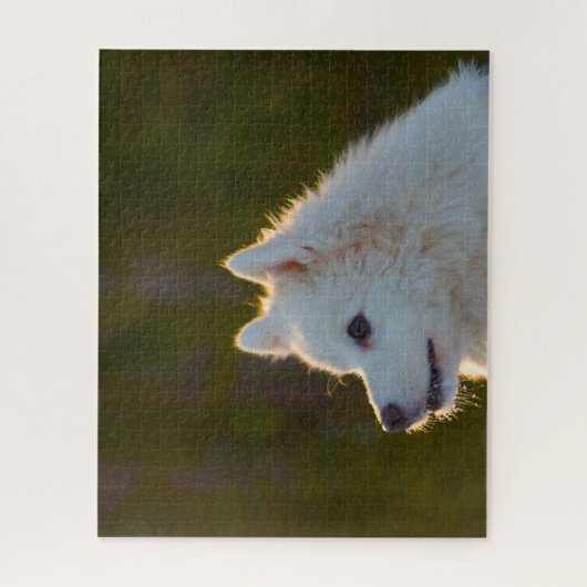 Japanse Spitz Dog. Legpuzzel (Verticaal)