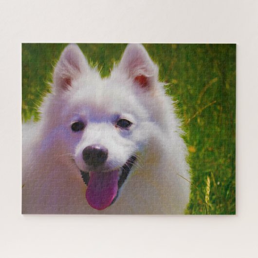 Japanse Spitz Dog. Legpuzzel (Horizontaal)