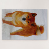 Japanse Spitz Dog. Legpuzzel (Horizontaal)