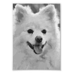 Japanse spitz foto afdruk