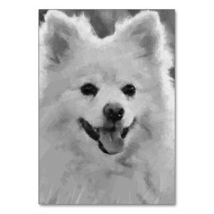 Japanse spitz kaart