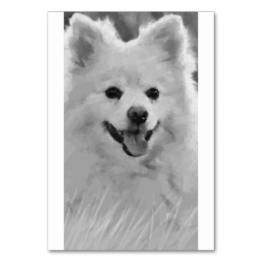 Japanse spitz kaart (Achterkant)