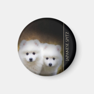 Japanse Spitz Puppies Magnet