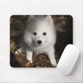 Japanse spitz puppy muismat (Met muis)