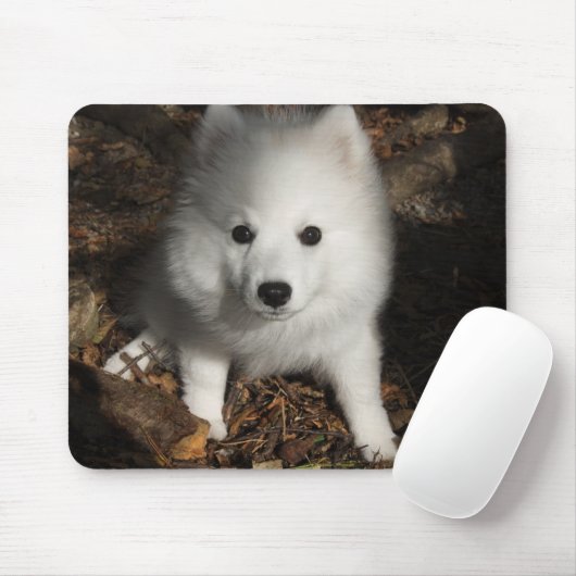 Japanse spitz puppy muismat (Met muis)