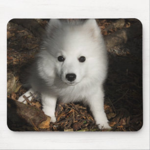 Japanse spitz puppy muismat