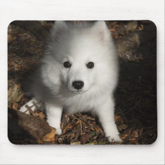 Japanse spitz puppy muismat