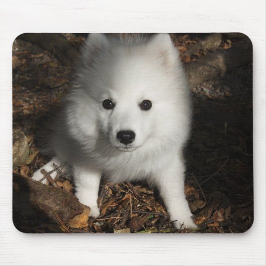 Japanse spitz puppy muismat (Voorkant)