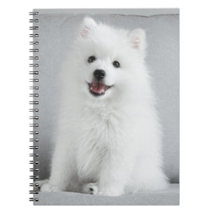 Japanse spitz-puppy notitieboek
