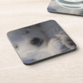 Japanse Spitz-slaappuppy Onderzetters (Linkerzijde)