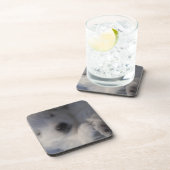 Japanse Spitz-slaappuppy Onderzetters (Rechterzijde)