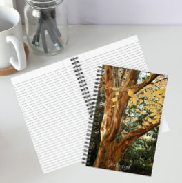 Japanse Stewartia Boom Botanische Foto Notitieboek