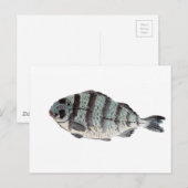 Japanse stripper Briefkaart (Voorkant / Achterkant)