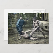 Japanse Sumo Traditionele 相 撲 Briefkaart (Voorkant / Achterkant)