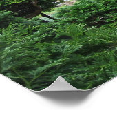 Japanse Tea Garden Poster (Hoek)