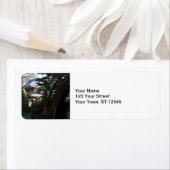 Japanse Tea Garden- San Francisco Etiket (Insitu)