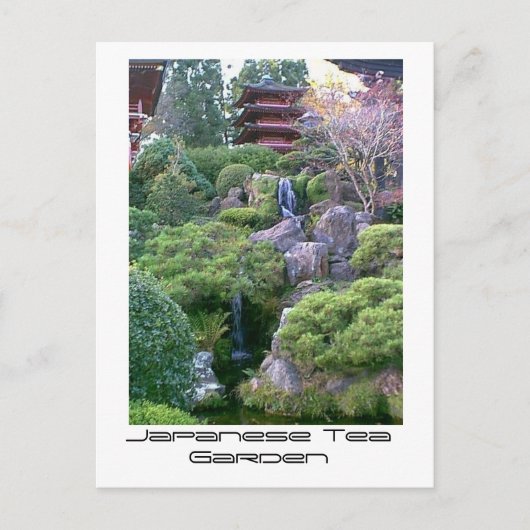 Japanse Tea Garden Waterfall Briefkaart (Voorkant)