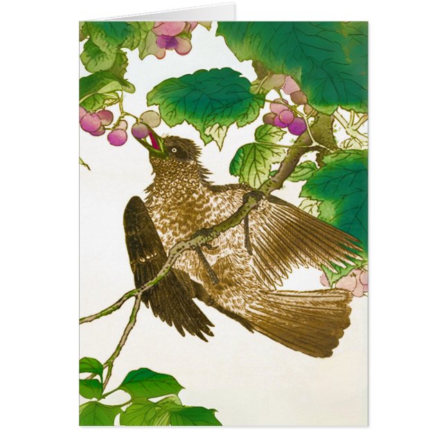 Japanse tekening van Jay op een wijnstok (Voorkant)