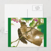 Japanse tekening van Jay op een wijnstok Briefkaart (Voorkant / Achterkant)