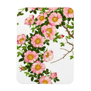 Japanse torenbloesems, roze en goud Magneet
