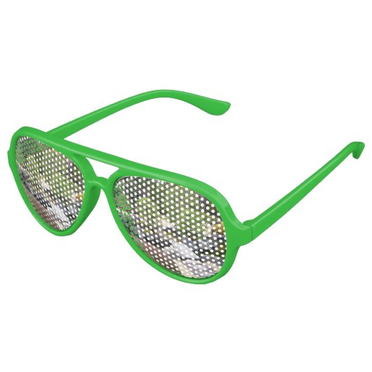 Japanse tuin 日 庭 園 aviator zonnebril (Gekanteld)