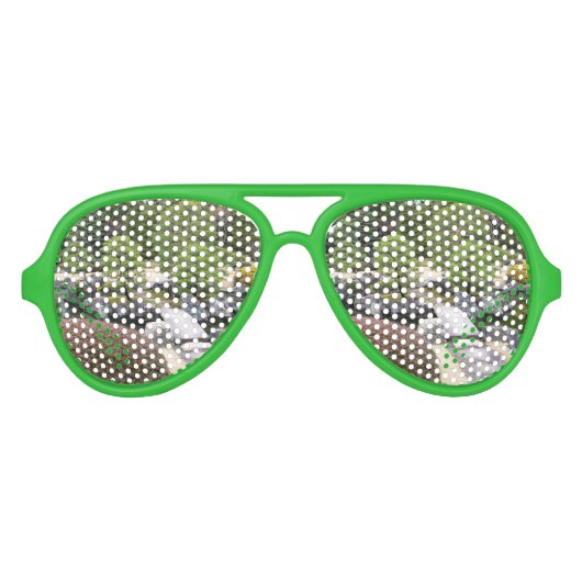 Japanse tuin 日 庭 園 aviator zonnebril (Voorkant)