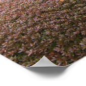 Japanse tuin 日 庭 園 poster (Hoek)