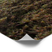 Japanse tuin-02 poster (Hoek)