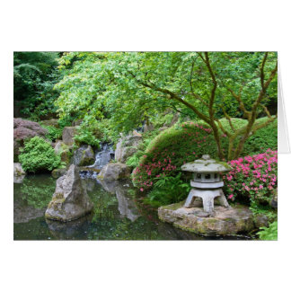 Japanse tuin 1