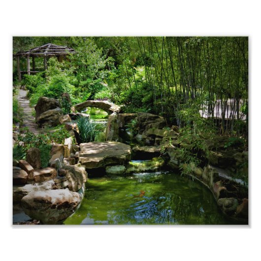 Japanse tuin 1 foto afdruk (Voorkant)