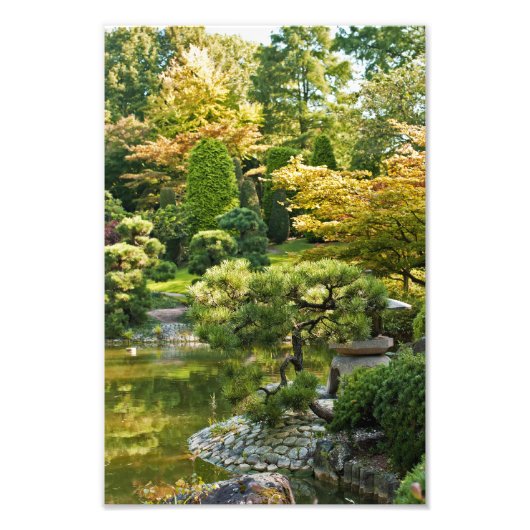 Japanse Tuin Foto Afdruk (Voorkant)