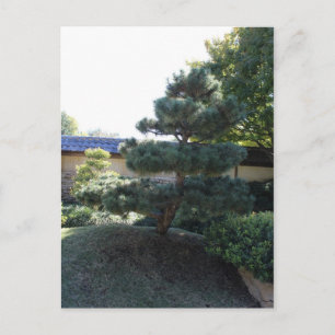 Japanse tuin in Fort Worth Texas # 17 Briefkaart