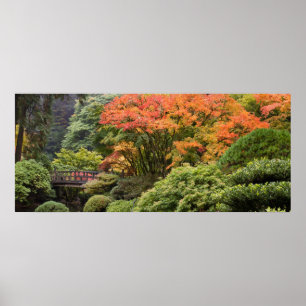 Japanse tuin in Herfst Poster