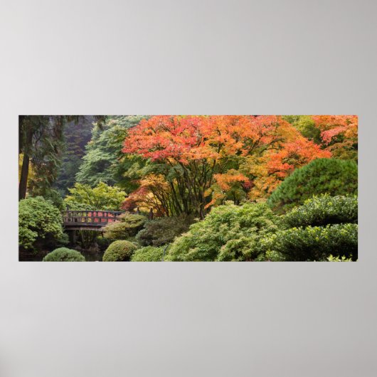 Japanse tuin in Herfst Poster (Voorkant)
