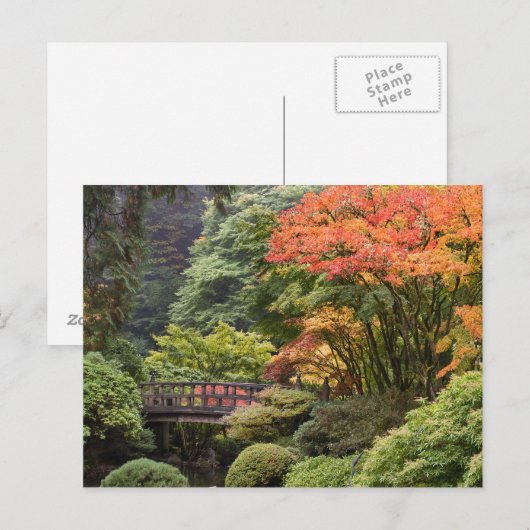 Japanse tuin in het najaar van het Briefkaart (Voorkant / Achterkant)