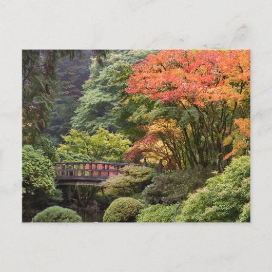 Japanse tuin in het najaar van het Briefkaart (Voorkant)