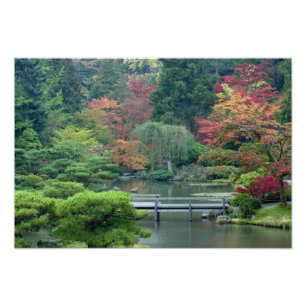 Japanse tuin in het Washington Park Foto Afdruk
